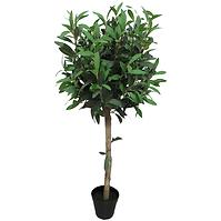 Mű oliva cserépben 85 cm 