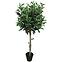 Mű oliva cserépben 85 cm 