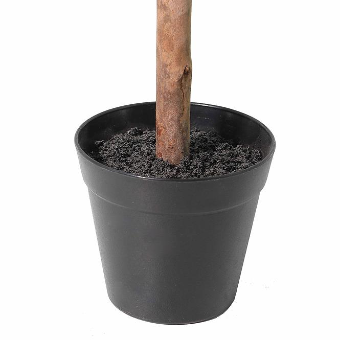 Mű oliva cserépben 85 cm 