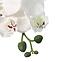 Mű orchidea 3 bimbós planta artf művirág cserépben 90 cm,3