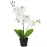 Művirág fehér orchidea cserépben 40 cm