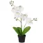 Művirág fehér orchidea cserépben 40 cm