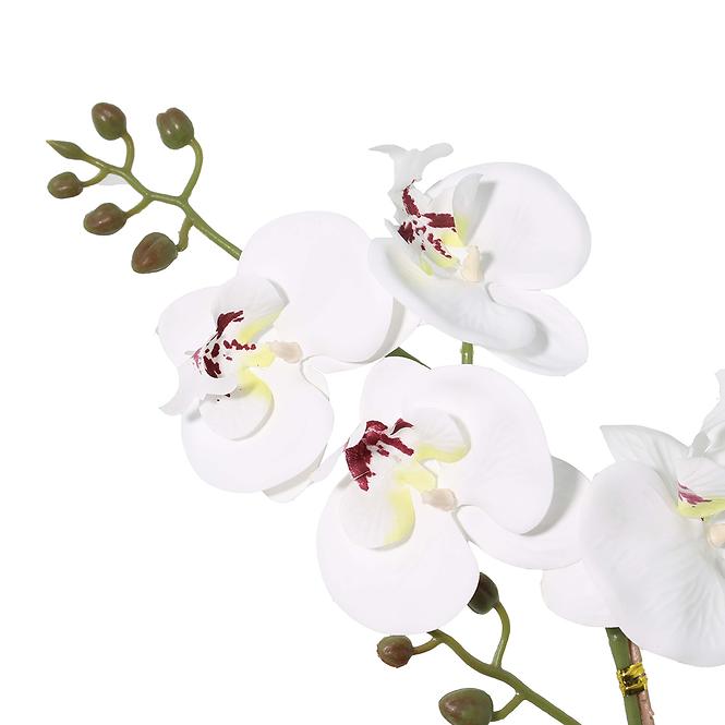 Művirág fehér orchidea cserépben 40 cm,2