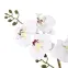 Művirág fehér orchidea cserépben 40 cm,2