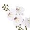 Művirág fehér orchidea cserépben 40 cm,2
