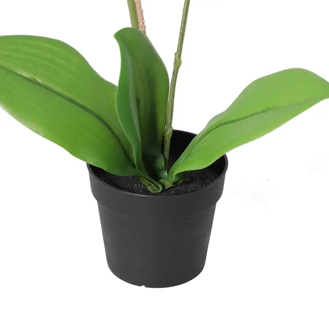 Művirág fehér orchidea cserépben 40 cm,3