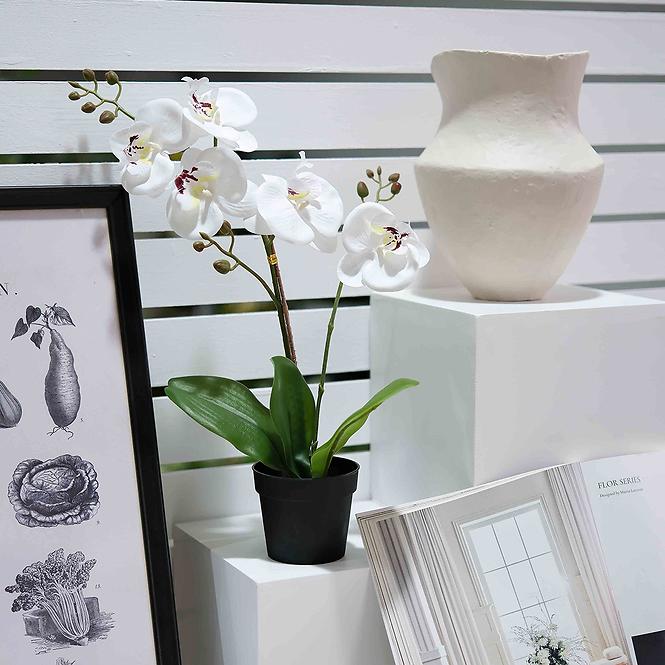 Művirág fehér orchidea cserépben 40 cm,4
