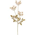 Világosbarna orlaya ág 50 cm