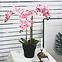 Mű orchidea cserépben 80 cm,4