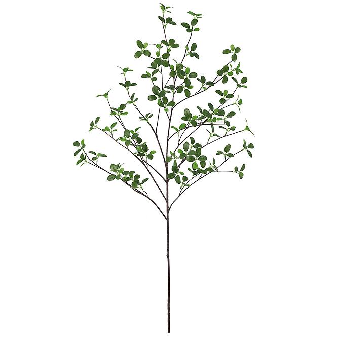 Vizi fikusz ág 110 cm