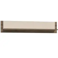 Falipolc Dedelos DDLB02