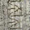 Szőnyeg Creation 1,4/2,0 50227 270 krém/bézs,5