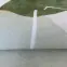 Szőnyeg Printing Loop 1,2/1,7 2 zöld,7