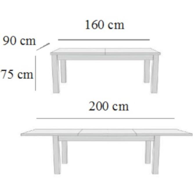 Asztal ST16 160X90+40 dió
