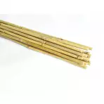 Bambusz karók 120 cm 08/10 mm 20 db