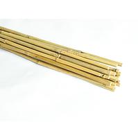 Bambusz karók 120 cm 08/10 mm 20 db