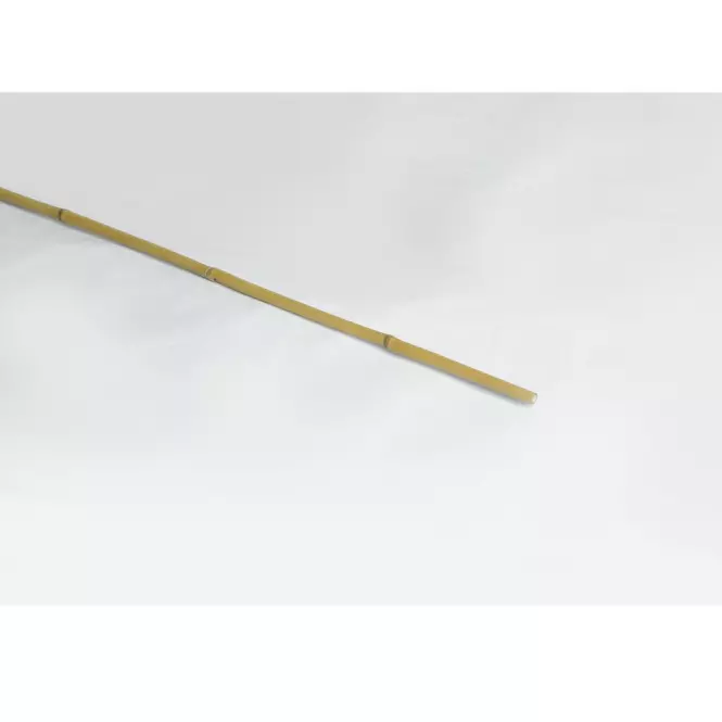Bambusz karók 150 cm fi 12/14 mm