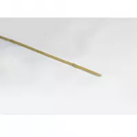 Bambusz karók 150 cm fi 14/16 mm