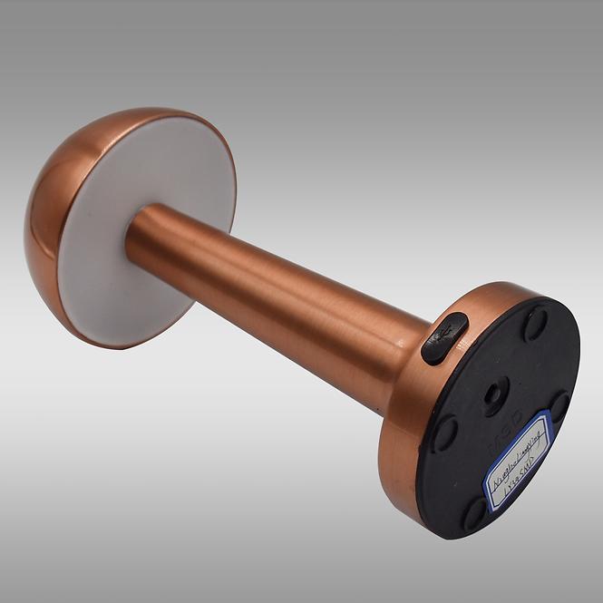 Asztali lámpa ISA 49020 PINK-GOLD USB LB1