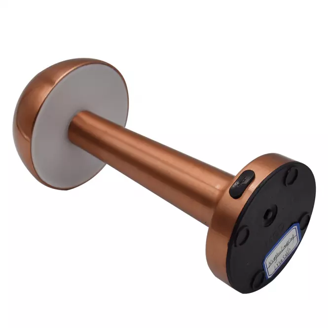 Asztali lámpa ISA 49020 PINK-GOLD USB LB1