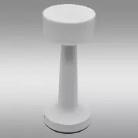 Asztali lámpa LIRA 49022 WHITE USB LB1
