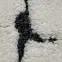 Szőnyeg Frisee Textures 1,6/2,3 1339A BOS ZD 26 krém,7