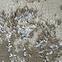 Szőnyeg Frisee Diamond 1,33/1,9 c610a edc71 bézs ,4