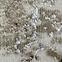 Szőnyeg Frisee Diamond 1,33/1,9 c615a edc72 bézs,5