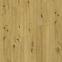 Vinyl padló SPC Baltic Oak 4mm 23/34 Ceramin 65006