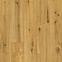 Vinyl padló SPC Venice Oak 4mm 23/34 Ceramin 65008