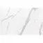 Téglalap alakú zuhanytálca Magnum Carrara White 80x100x2,5 Rea K7004