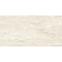 Belveder Beige 59,8/119,8 Rect.,3