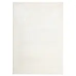 Szőnyeg Shaggy Microfiber RS-BSR 1,4/2,0 krém