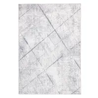 Szőnyeg Chenile Print Rug 1,33/1,9 RS2444PT-1 bézs