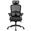 Irodai szék Diablo V-Light Fekete,3