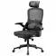 Irodai szék Diablo V-Light Fekete,4