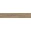 Scalwood Brown 19,8/119,8 Rect. GPT1105,2