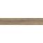 Scalwood Brown 19,8/119,8 Rect. GPT1105,6