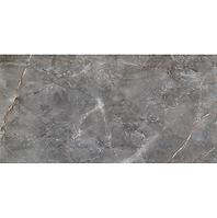 Visine Grey Gloss 59,8/119,8                          