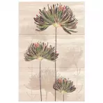 Csempe dekoratív Savoy Flower Top 90/60 3el.