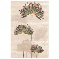 Csempe dekoratív Savoy Flower Top 90/60 3el.
