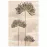 Csempe dekoratív Savoy Flower Top 90/60 3el.