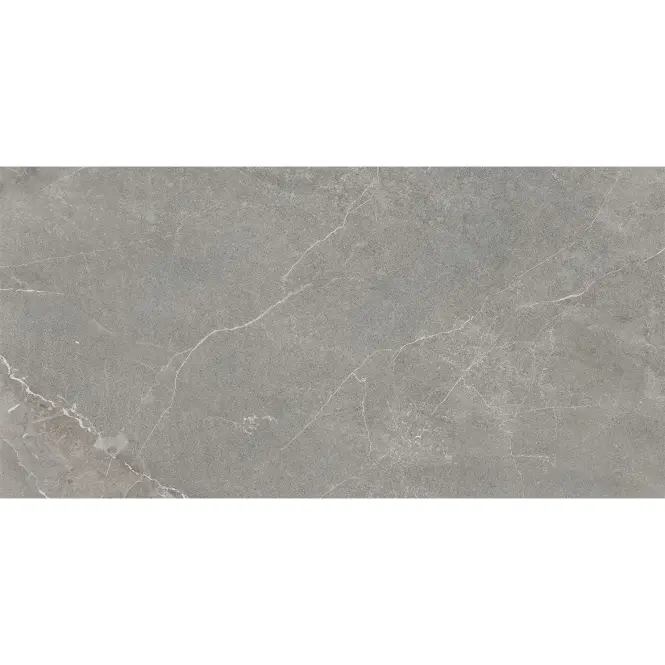 Csempe Wermex Light Grey 59,8/119,8