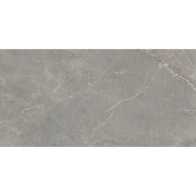 Csempe Wermex Light Grey 59,8/119,8