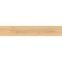 Oceanwood (GPT1116) Warm Beige 19,8/119,8,5