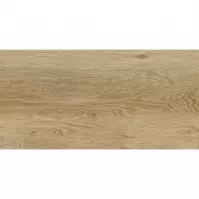 Starwood Beige 29,8/59,8