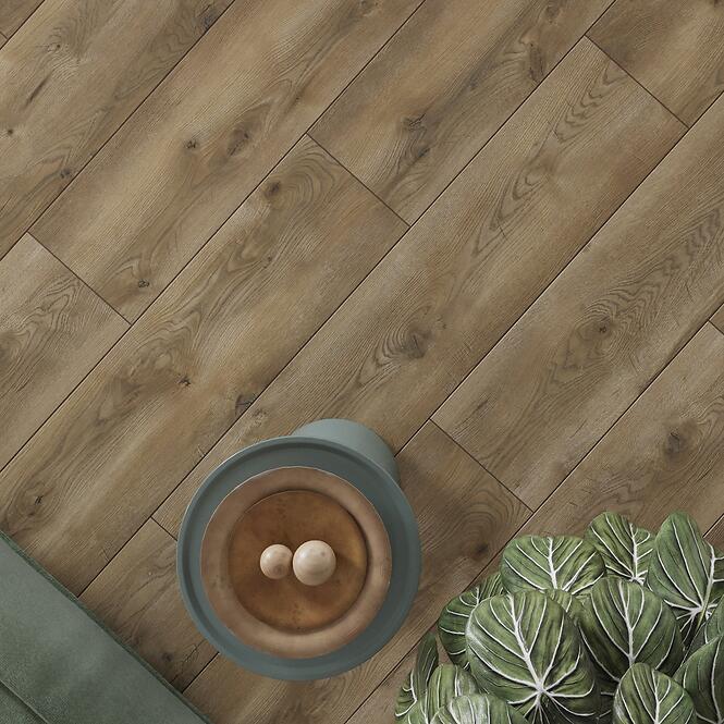 Laminált padló Tölgy Colmar 8mm AC5 Elite WR 66926,6