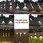 Solar lampa Nike 12 46832 KD1,7