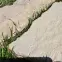Lépőkő bézs Rock 30-37 cm,2