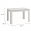 Asztal  Hamar 120x80 Fehér 11013844,2